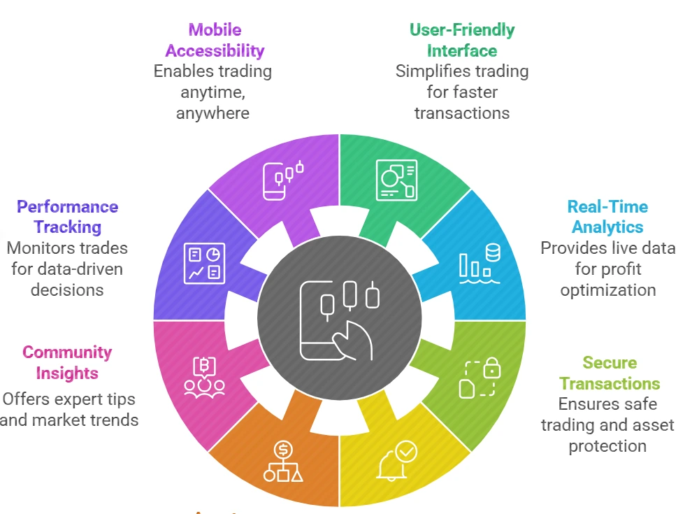 Playinexch App a Top Choice for Users Today