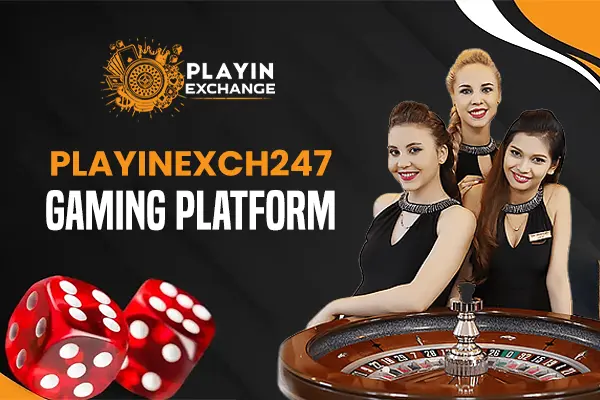 Playinexch247 gaming platform
